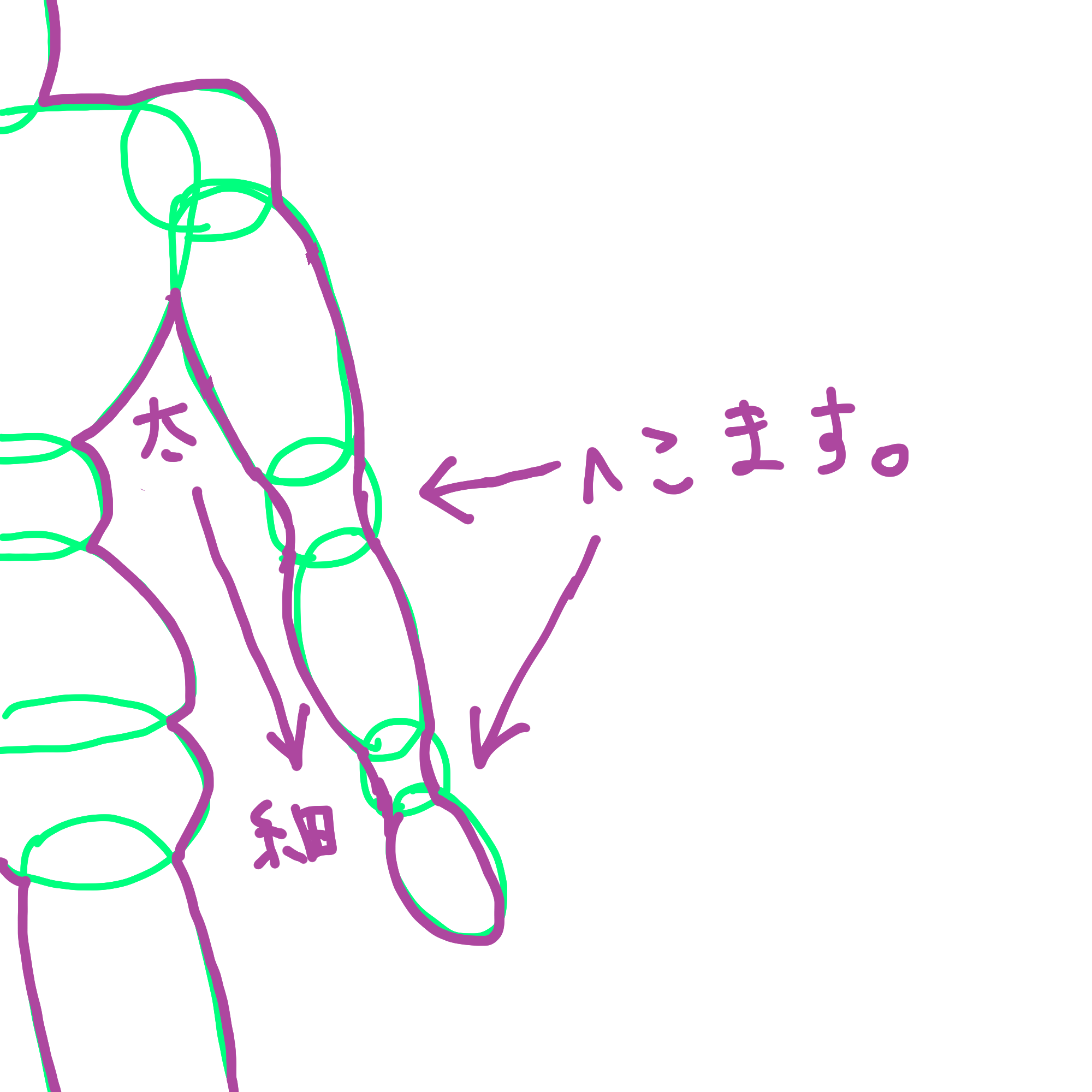 イラスト練習 人物の身体の練習にデジタルイラスト初心者の私が有効だったこと Pocopiのイラスト 釣り生活