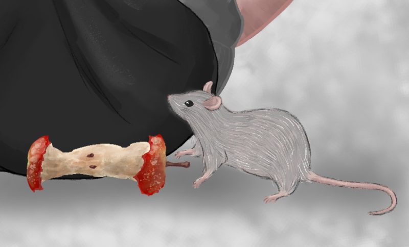 印刷可能 ネズミ イラスト リアル 1408 ネズミ イラスト リアル アニメの頭の画像